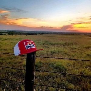 Meet your Posher, Oscar